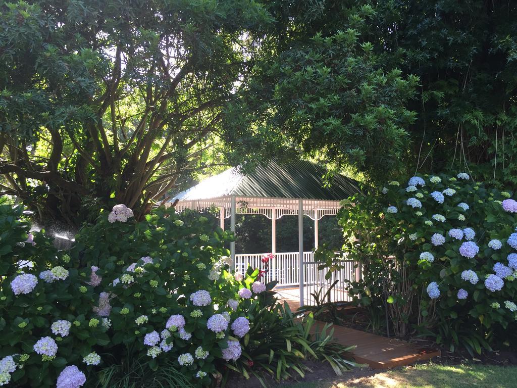 The White Manor Bed & Breakfast Cape Town Exterior photo