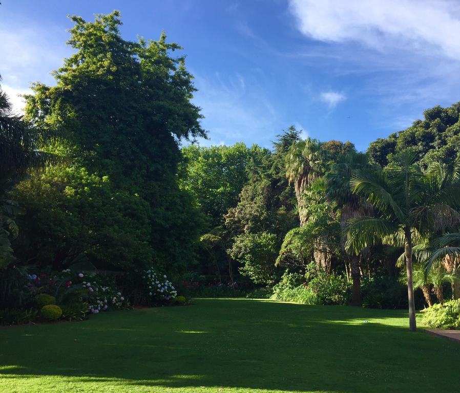 The White Manor Bed & Breakfast Cape Town Exterior photo