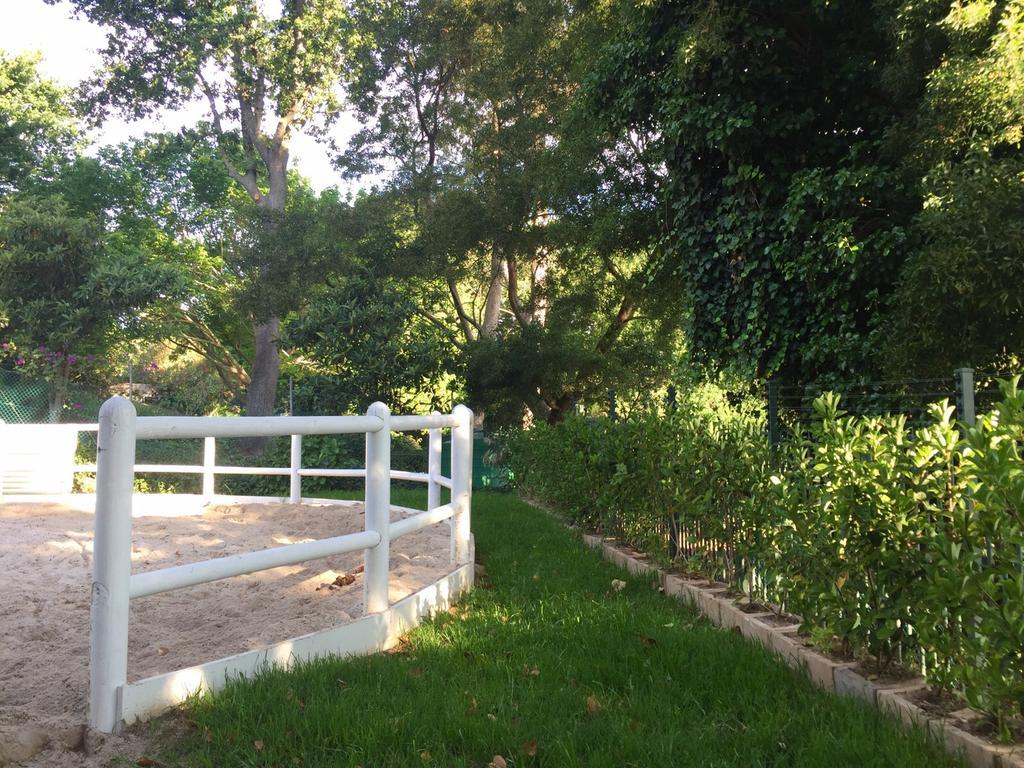 The White Manor Bed & Breakfast Cape Town Exterior photo